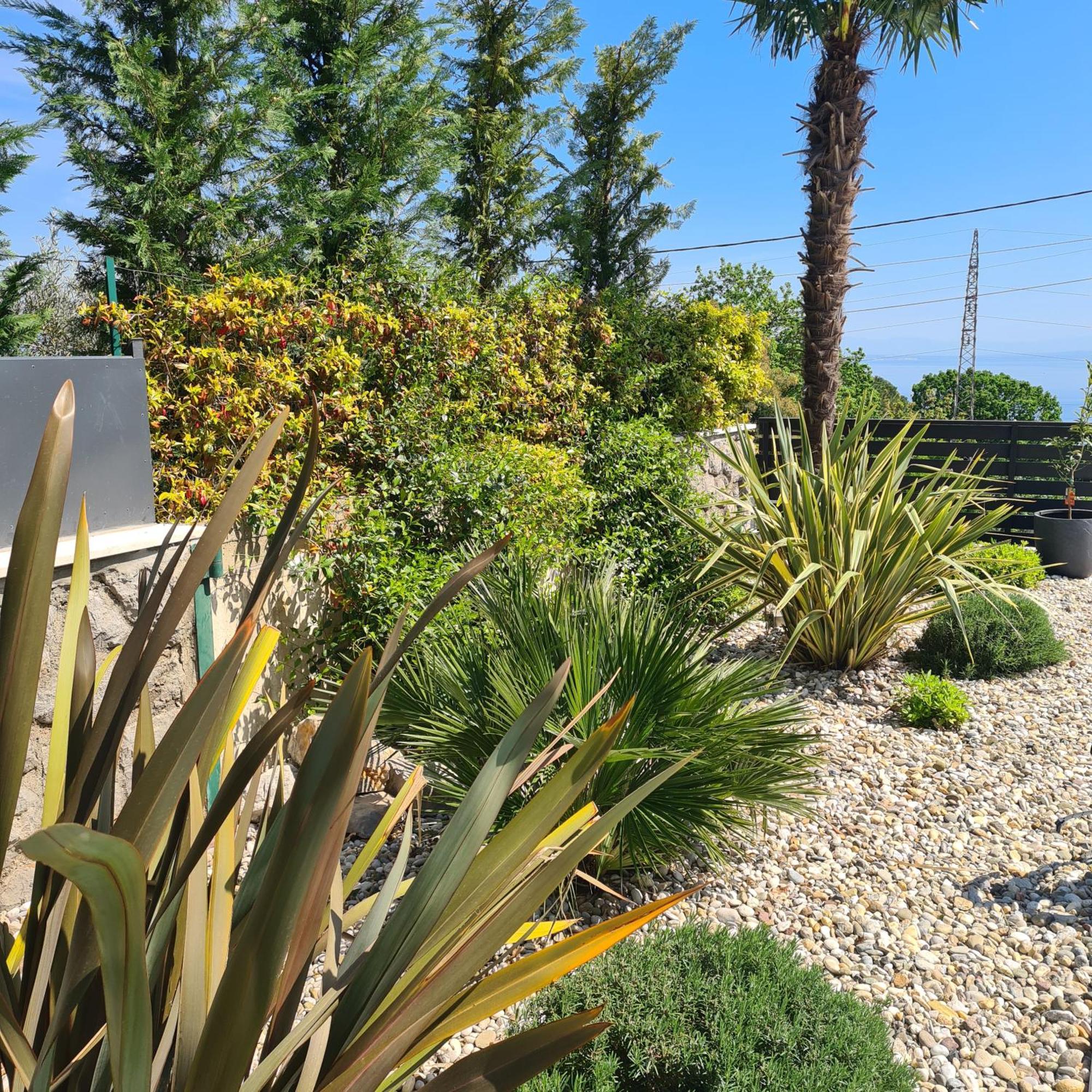 Villa Adriatic, Apartment Chiara With Sea View And Heated Swimming Pool, Free Private Parking, Ičići Екстериор снимка